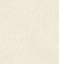Обои Rasch Trend 974201