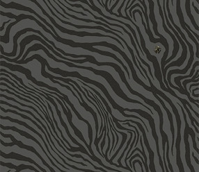 Обои Roberto Cavalli Home 6 RC17214