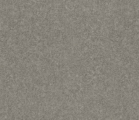 Обои Rasch Tendencia 973600